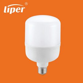 LED Global bulb