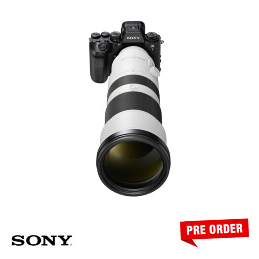 Sony FE 400-800mm f/6.3-8 G OSS Lens (Sony E) - Image 7